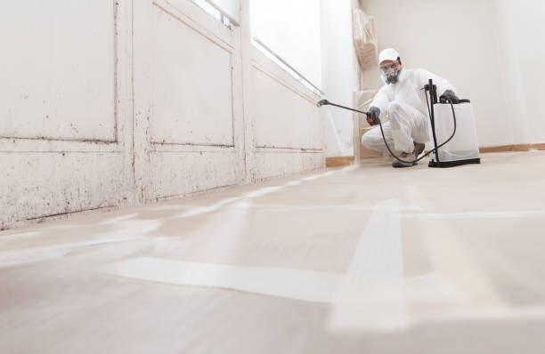 24/7 Emergency Mold Remediation experts in Poulsbo, WA