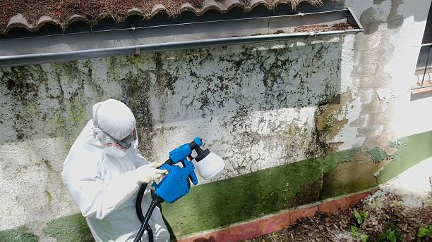 Top rated local Mold Remediation specialists in Poulsbo, WA